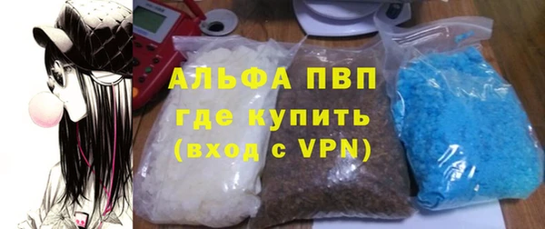 прущие грибы Приозерск
