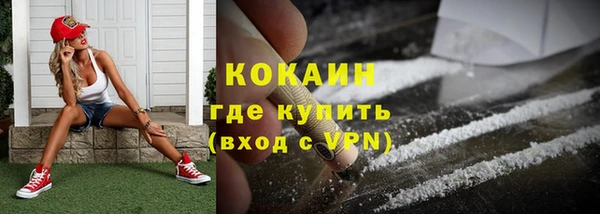 прущие грибы Приозерск