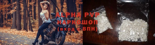прущие грибы Приозерск