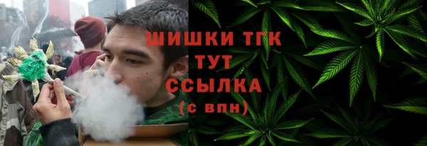 прущие грибы Приозерск