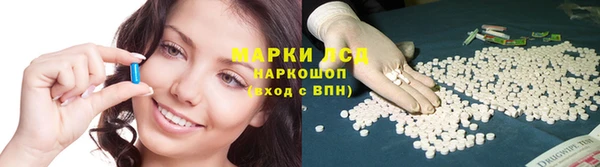 прущие грибы Приозерск