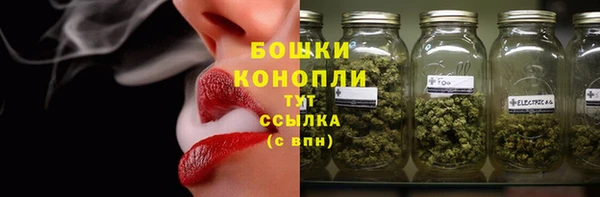 прущие грибы Приозерск