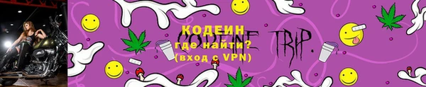прущие грибы Приозерск