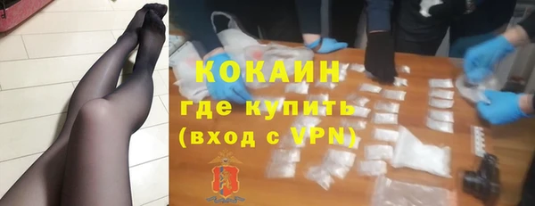 прущие грибы Приозерск
