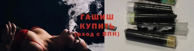 прущие грибы Приозерск
