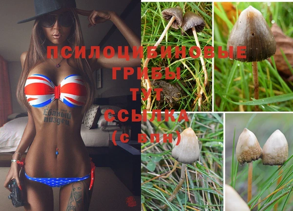 синтетический гашиш Протвино
