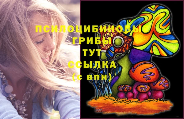 синтетический гашиш Протвино