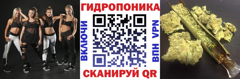 Каннабис AK-47  Сольцы 